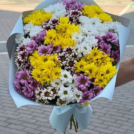 Букет из разноцветных хризантем - купить с доставкой в по Рикасихе